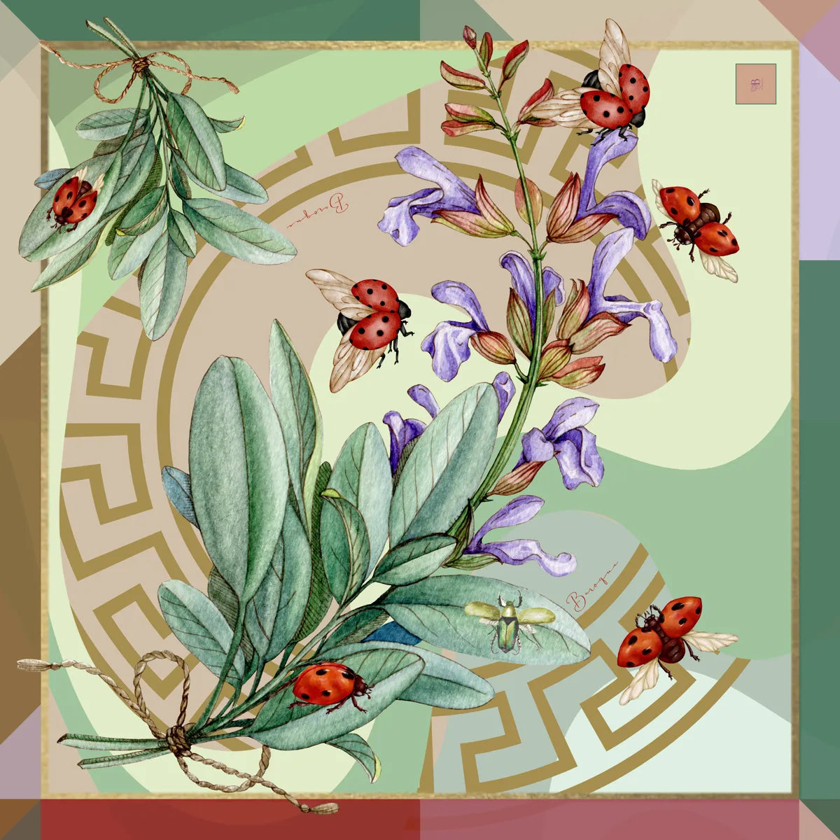Little Ladybird