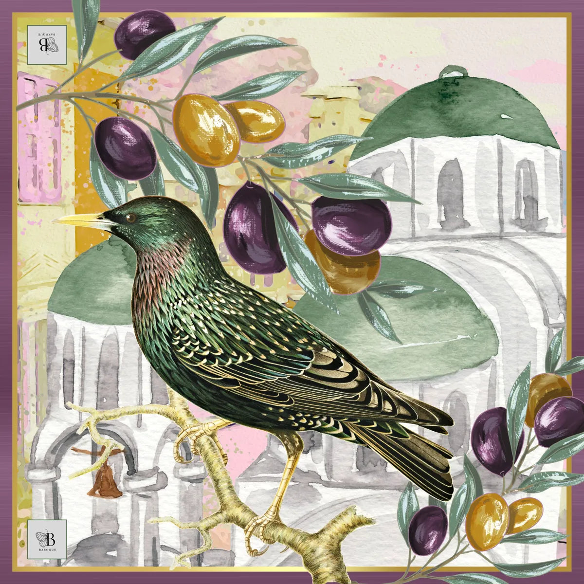 Olive Grove