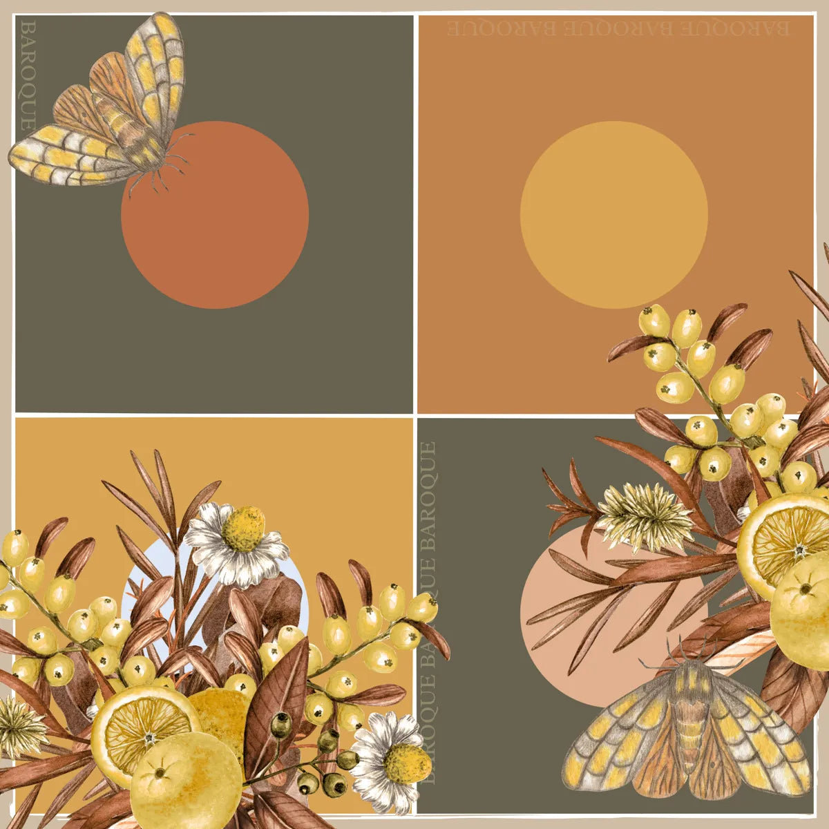 Mustard Moth