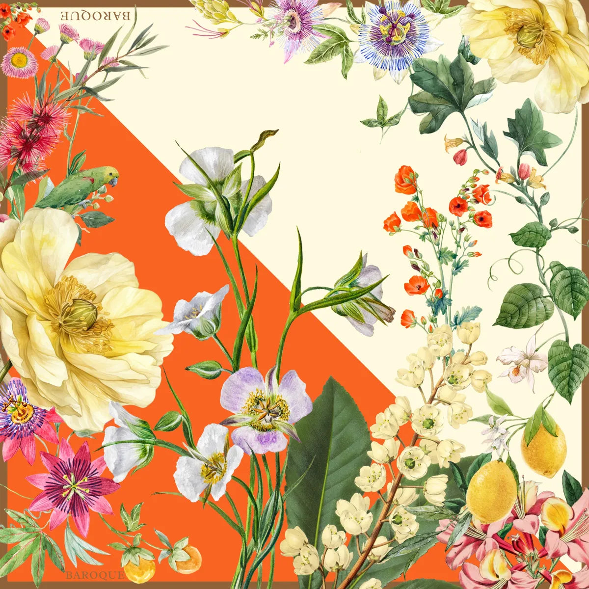 Oranges & Cream