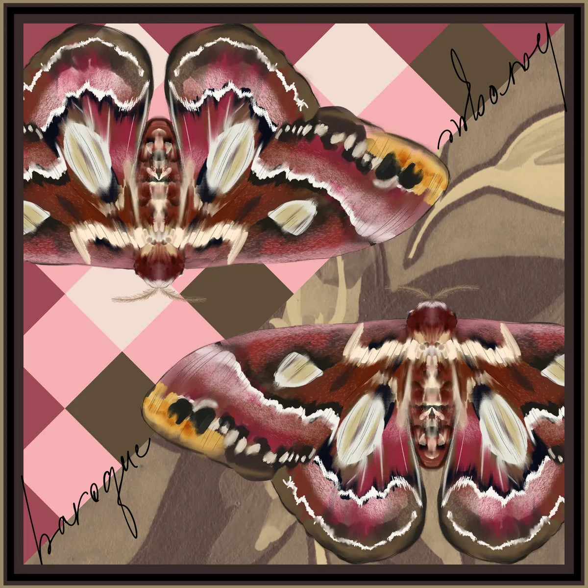 Meeting of the Moth