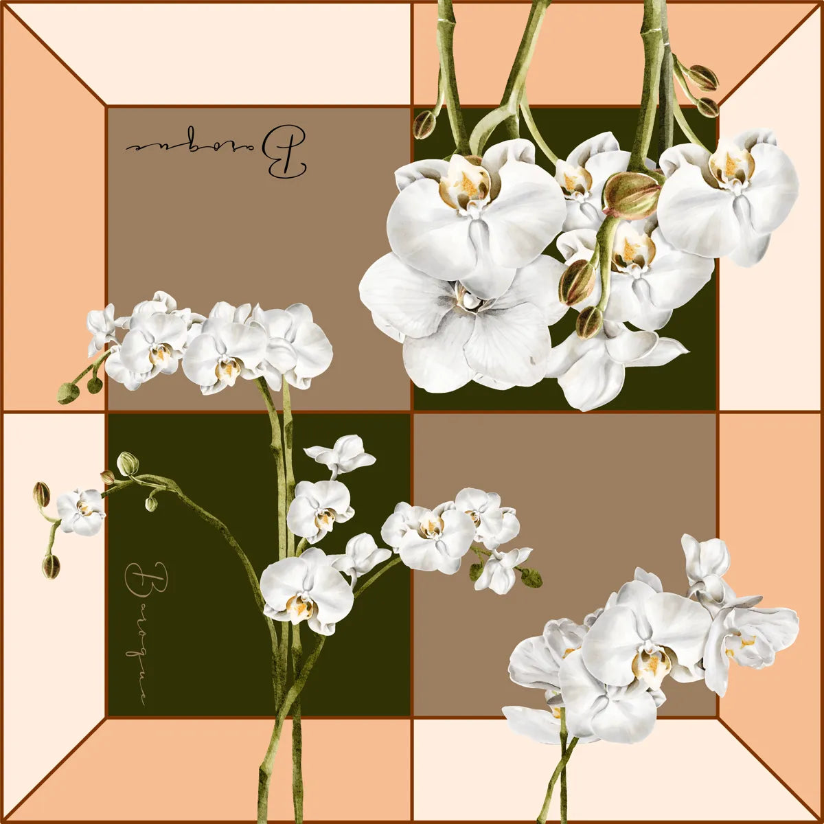 Orchid Oasis