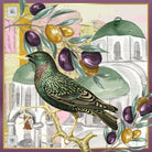 Olive Grove