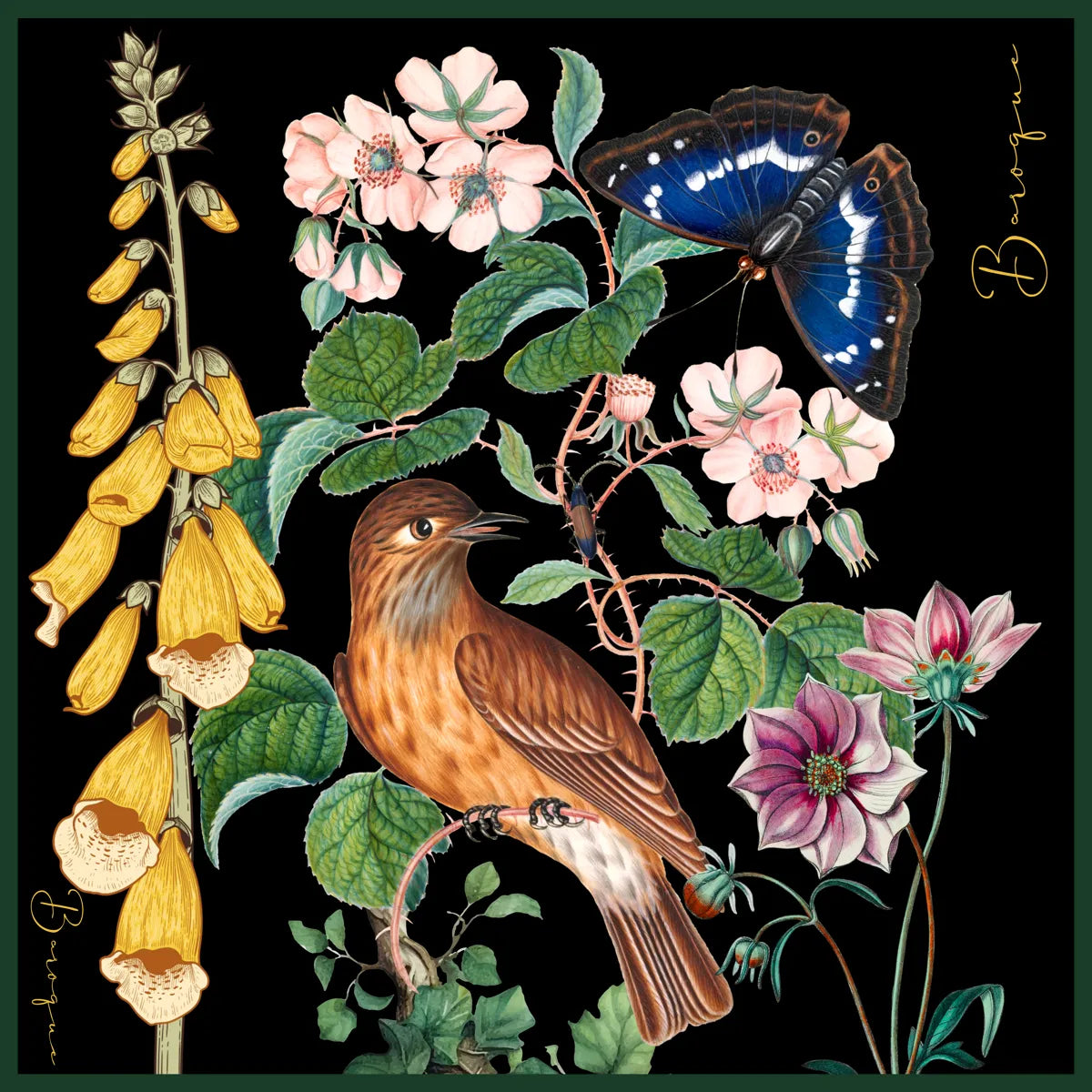 A-Life in the Garden