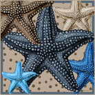 Wish Upon A Star