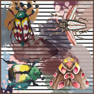 Bars Bugs - LAST ONE