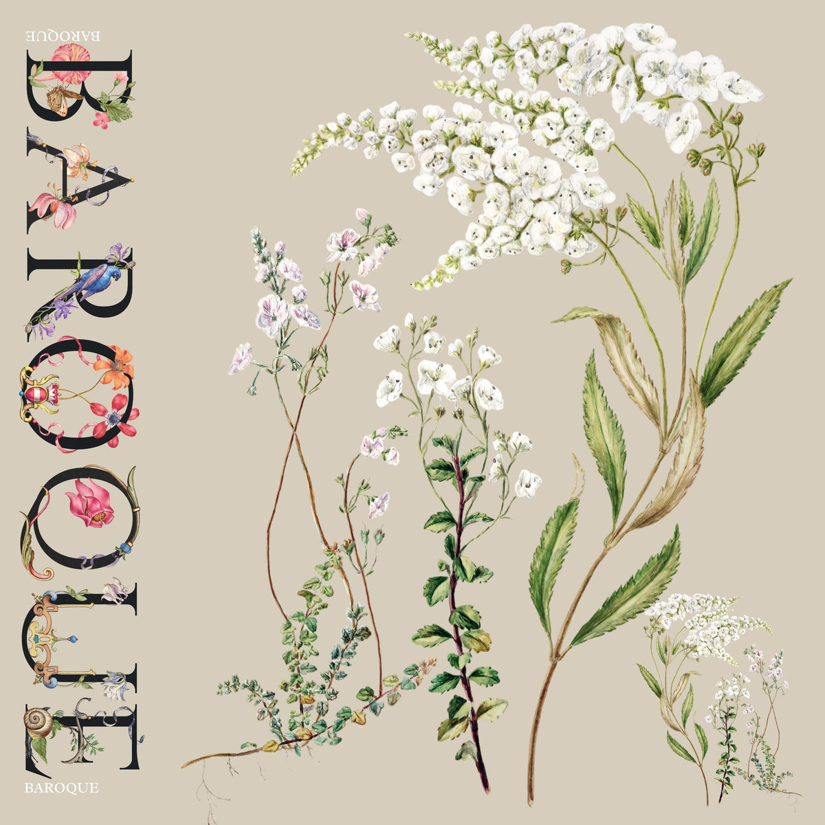 Easy Breezy silk scarf: white wildflower sprigs on soft taupe beside the word BAROQUE wrapped in tiny flowers