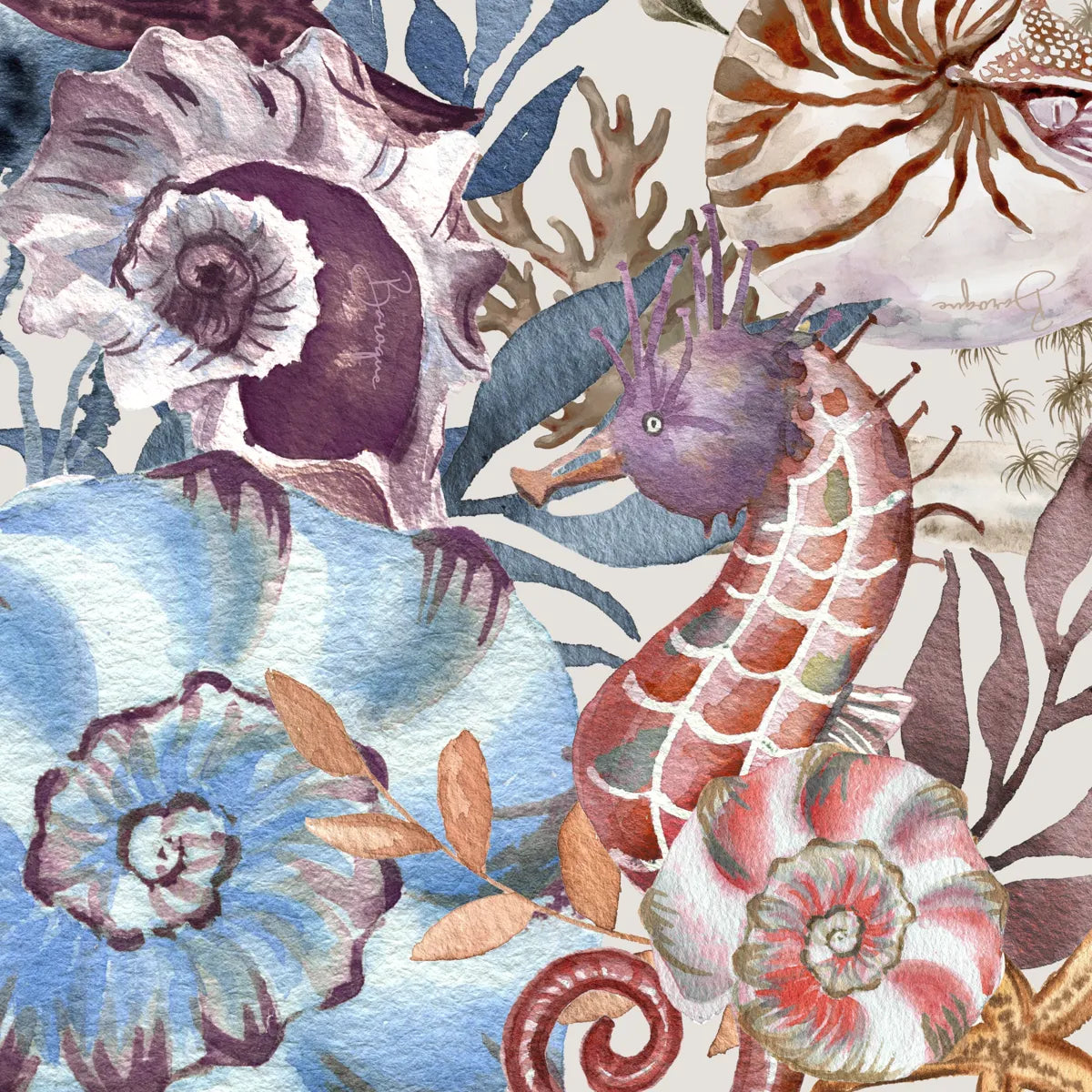 Shy Seahorse Fringe