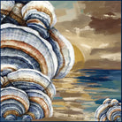 Salty Shells