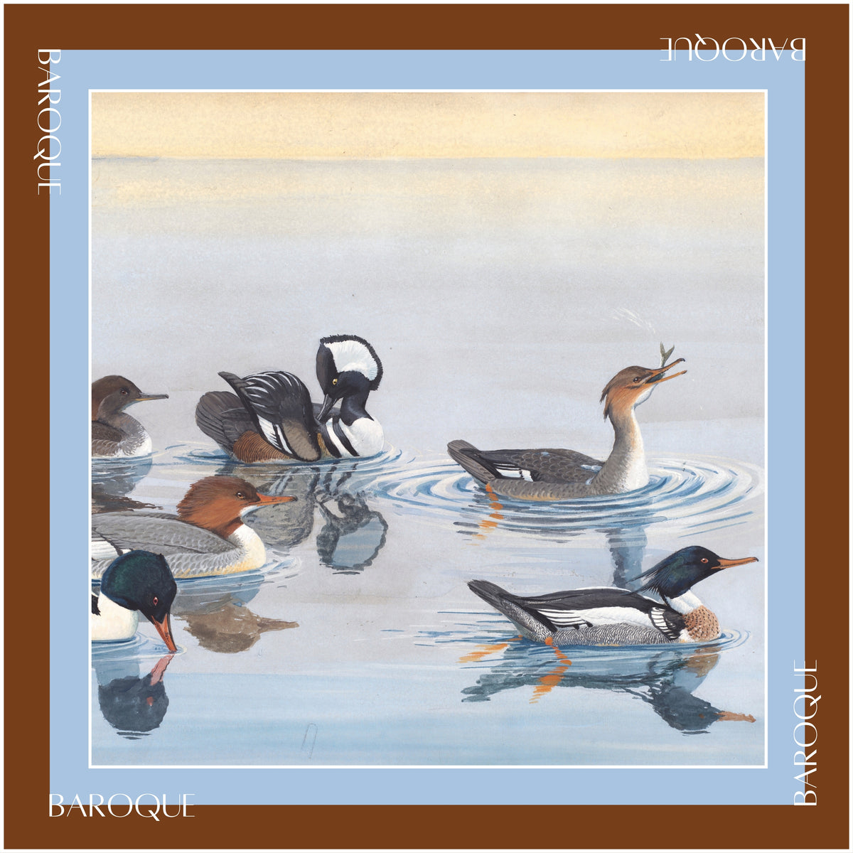 Duck, Duck... silk scarf: mergansers and a hooded drake paddling across pale blue water, framed in brown