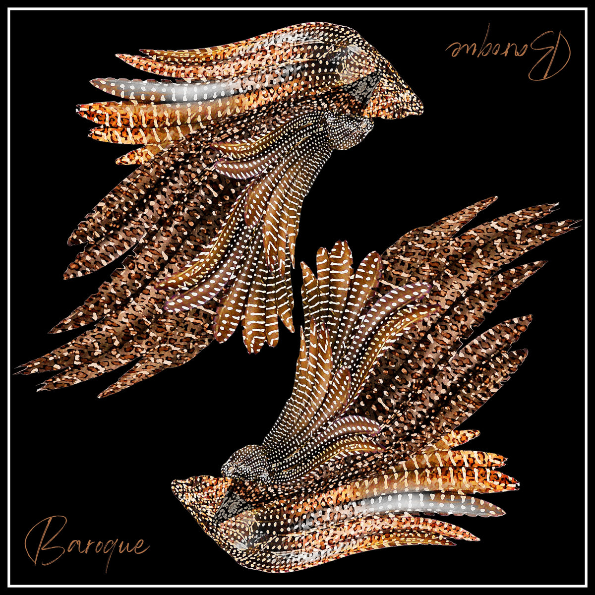 Native Feather silk scarf: two sets of speckled bronze and cream feathered wings on black