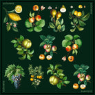 Fruits of Baroque silk scarf: lemons, apricots, pears, apples and grapes arranged on deep forest green