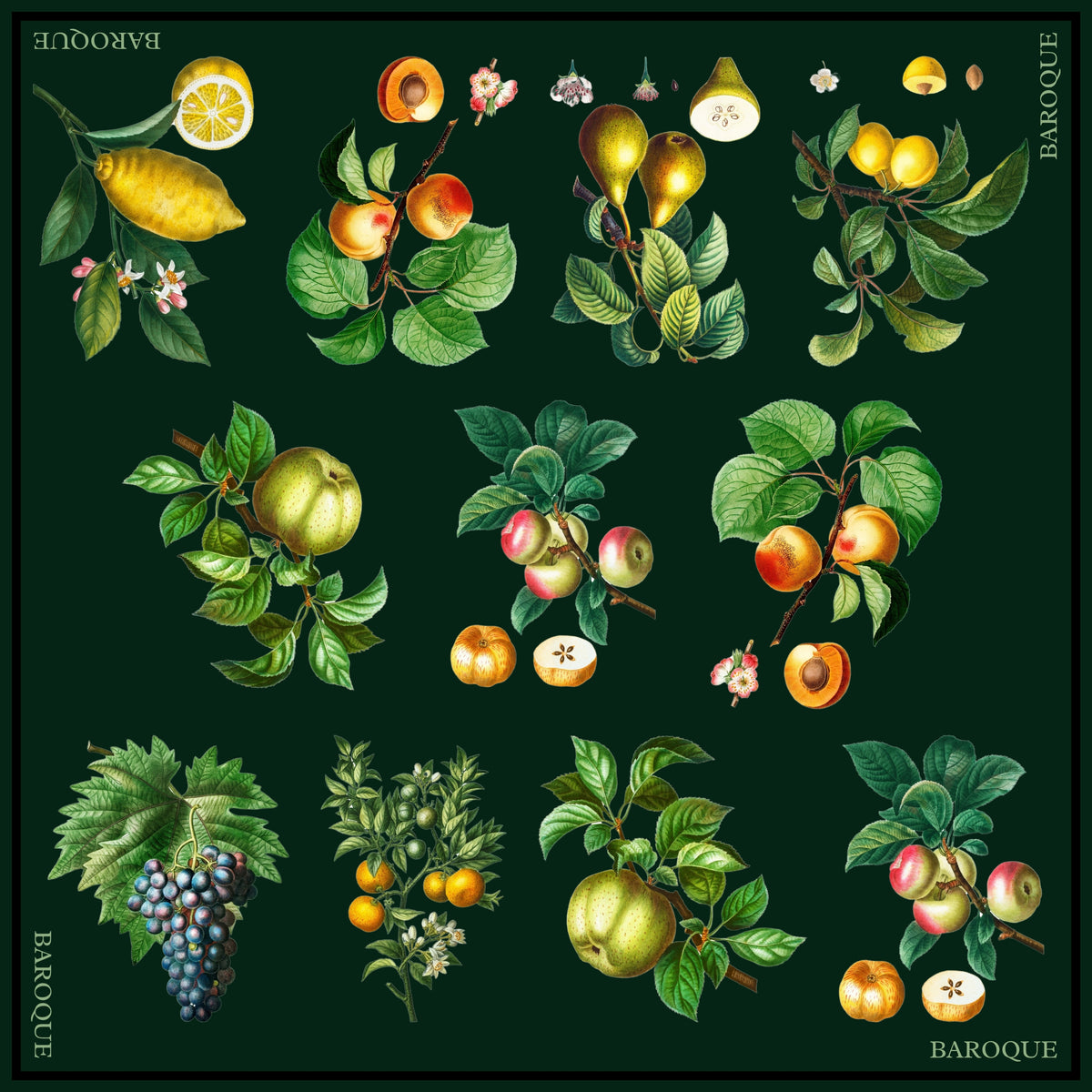 Fruits of Baroque silk scarf: lemons, apricots, pears, apples and grapes arranged on deep forest green