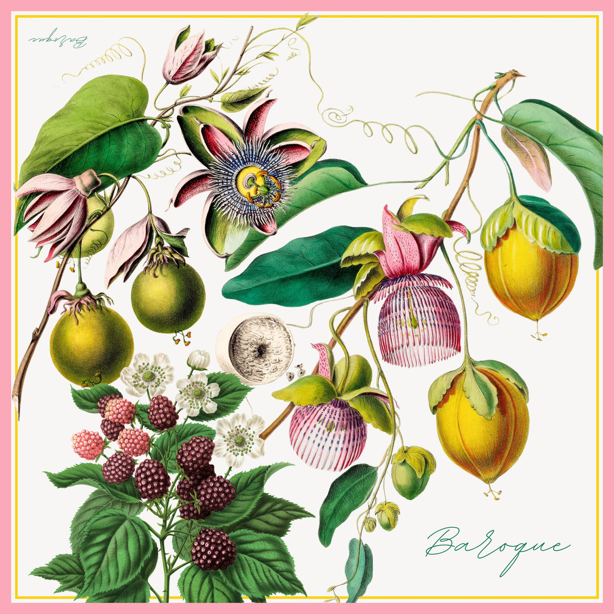 Ripe Enough silk scarf: golden passionfruit, passionflowers and raspberries on white with a pink border