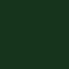 '70's Baroque Plain Pine Green - LAST ONE